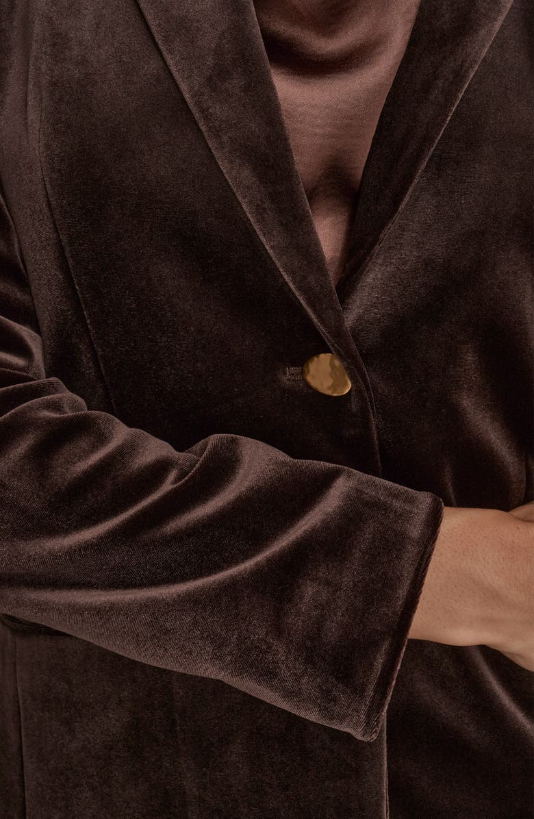 Donna Karan New York One-Button Velvet Jacket, Alternate, color,