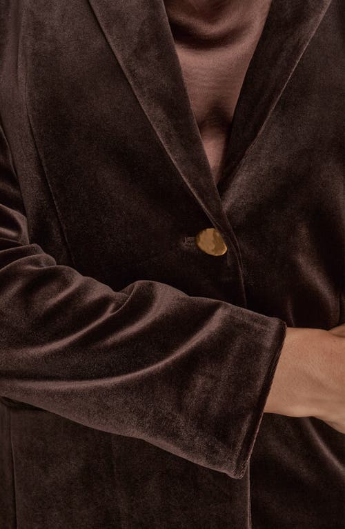 Donna Karan New York One-button Velvet Jacket In Brown