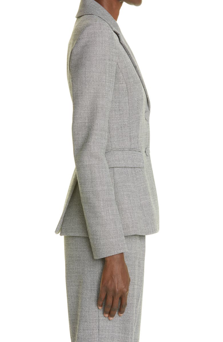 Altuzarra Fenice Blazer, Alternate, color, 