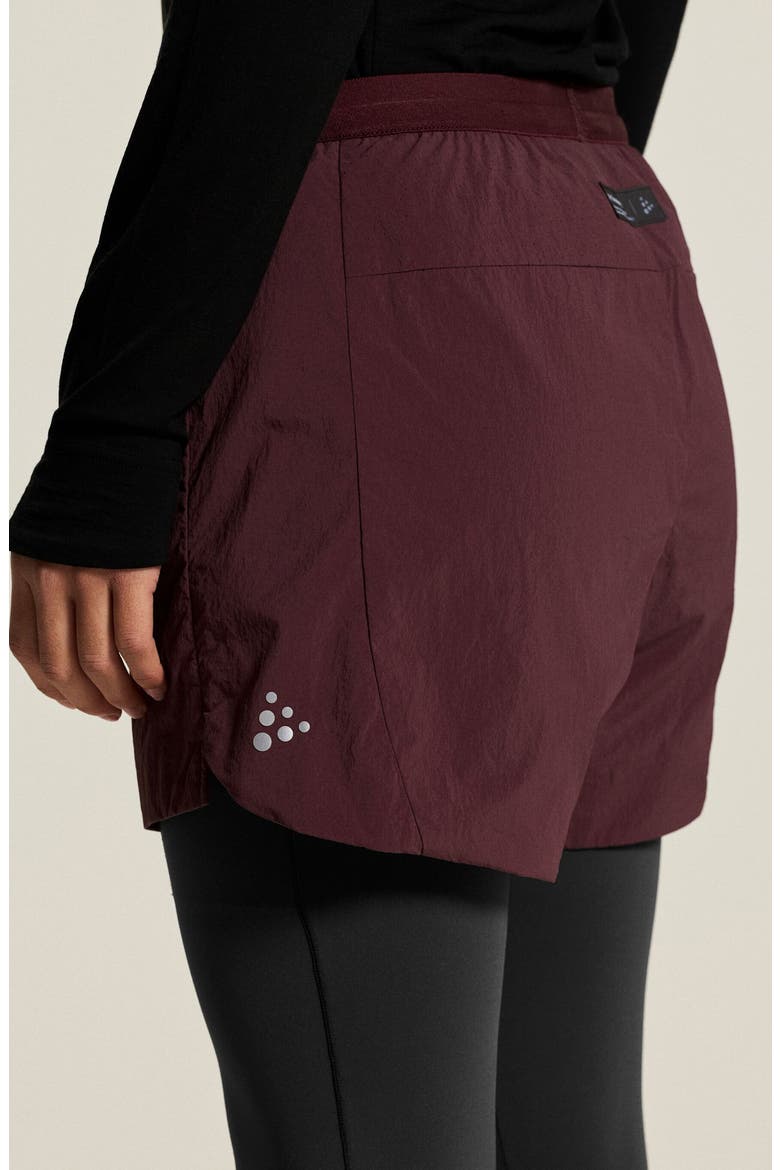 SubZ Insulated Performance Shorts, Alternate, color, DARK FIG