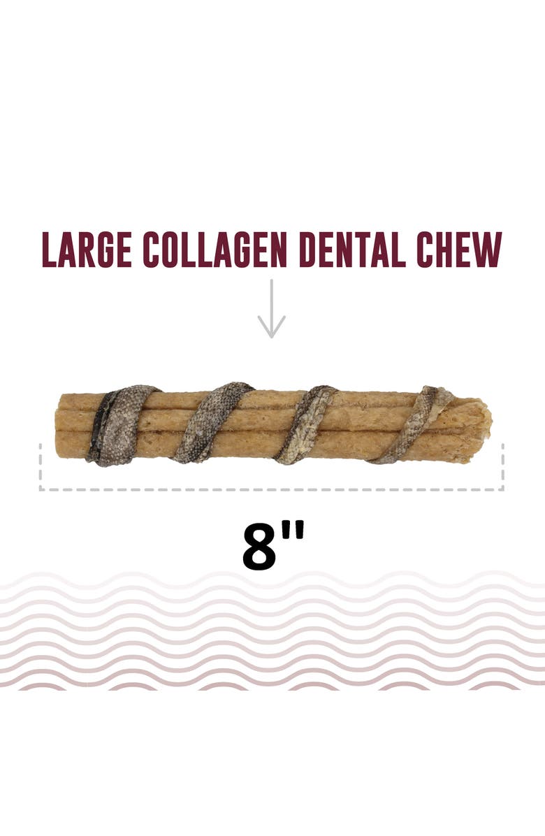 ICELANDIC+ Beef Collagen Dental Chew Stick Wrapped with Fish 8" Dog Treat, Alternate, color, Brown