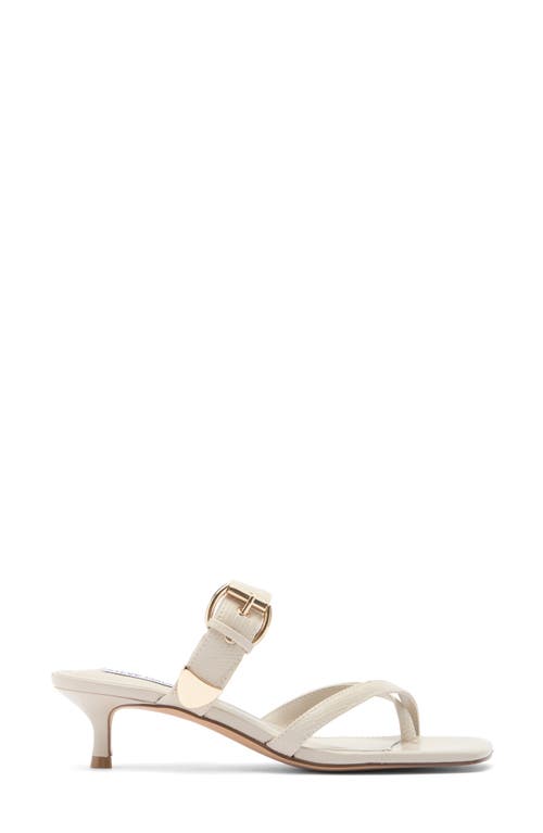 Steve Madden Jamesy Slide Sandal In Bone