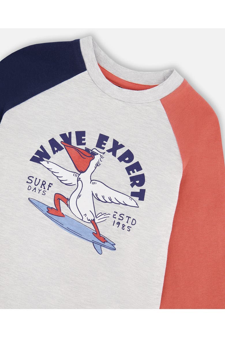 Jersey Pelican Graphic Long Sleeve T-Shirt, Alternate, color, Light Grey Mix