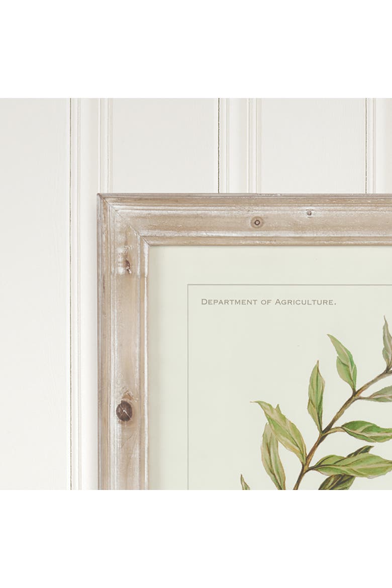Framed Olive Leaf Botanical Prints Set of 4, Alternate, color, Off-White