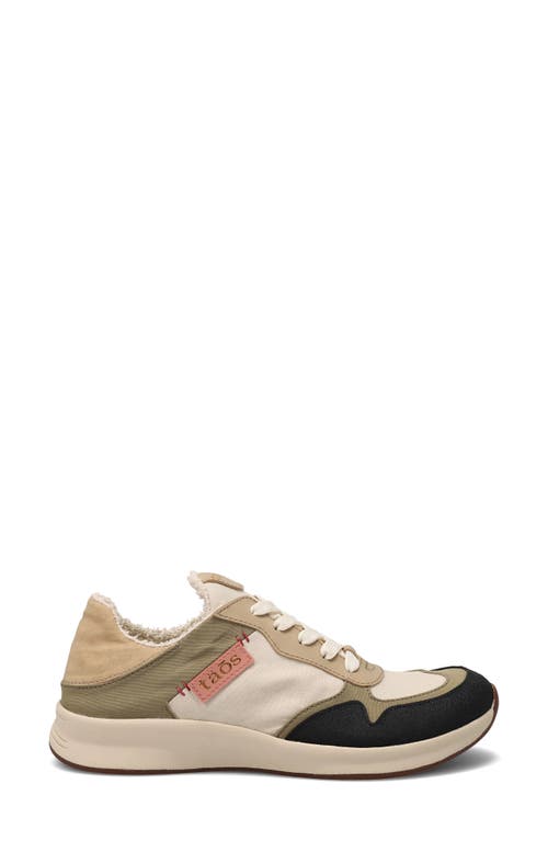 Taos Direction Sneaker In Multi