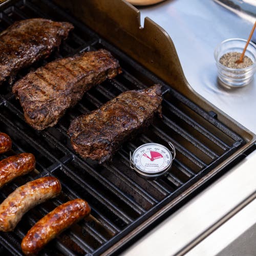 Maverick Surface Thermometer In Silver