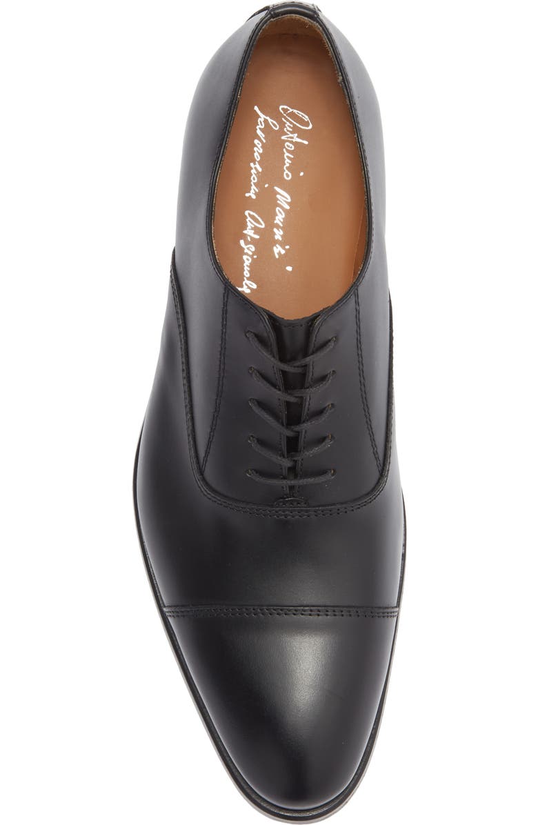 ANTONIO MAURIZI Cap Toe Oxford, Alternate, color,