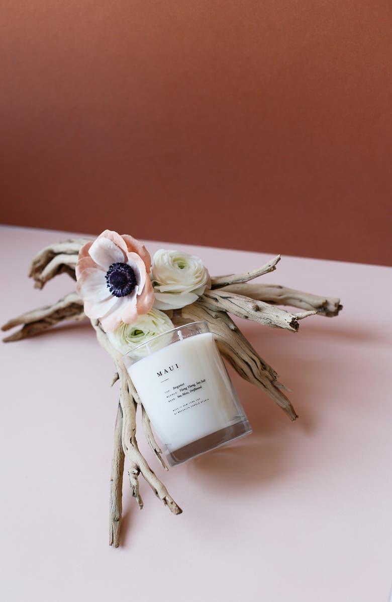 BROOKLYN CANDLE STUDIO Maui Classic 2-Wick Candle, Alternate, color, Maui