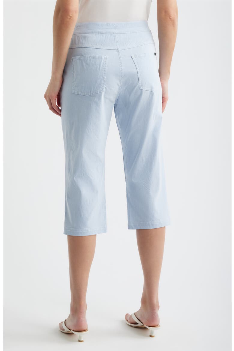Spring Stripe Petal Pusher Capri Pants, Alternate, color, BLUE