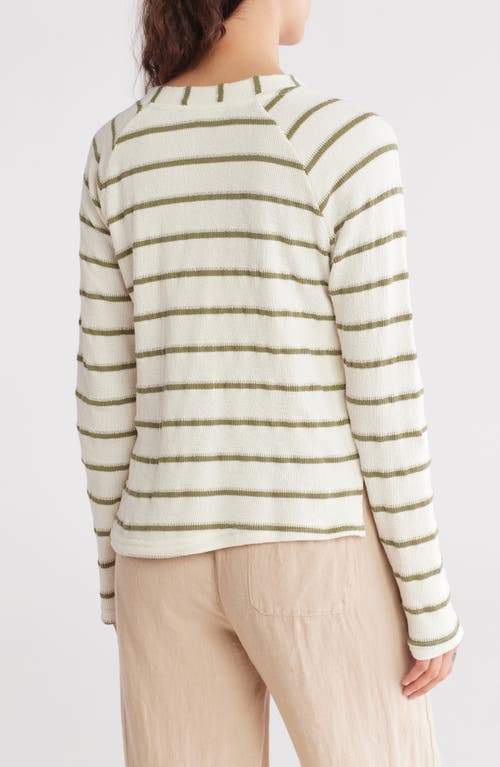 Blu Pepper Stripe Knit Henley In Olive