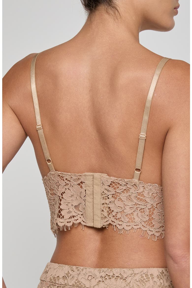 Aislin Lace Bralette Top, Alternate, color, CAPPUCCINO