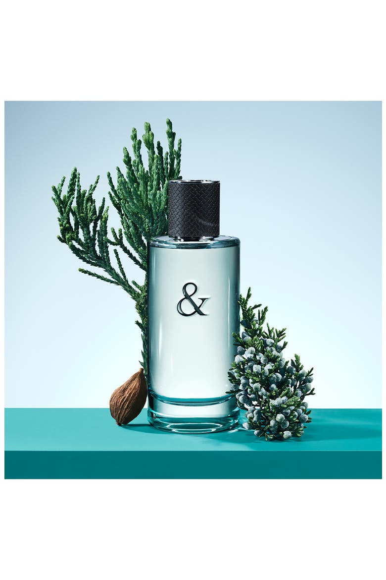 Tiffany & Love Eau de Toilette for Him, Alternate, color, NO COLOR