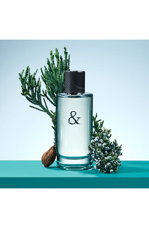 Tiffany & Co Tiffany & Love For Him Eau De Toilette 3 Oz.