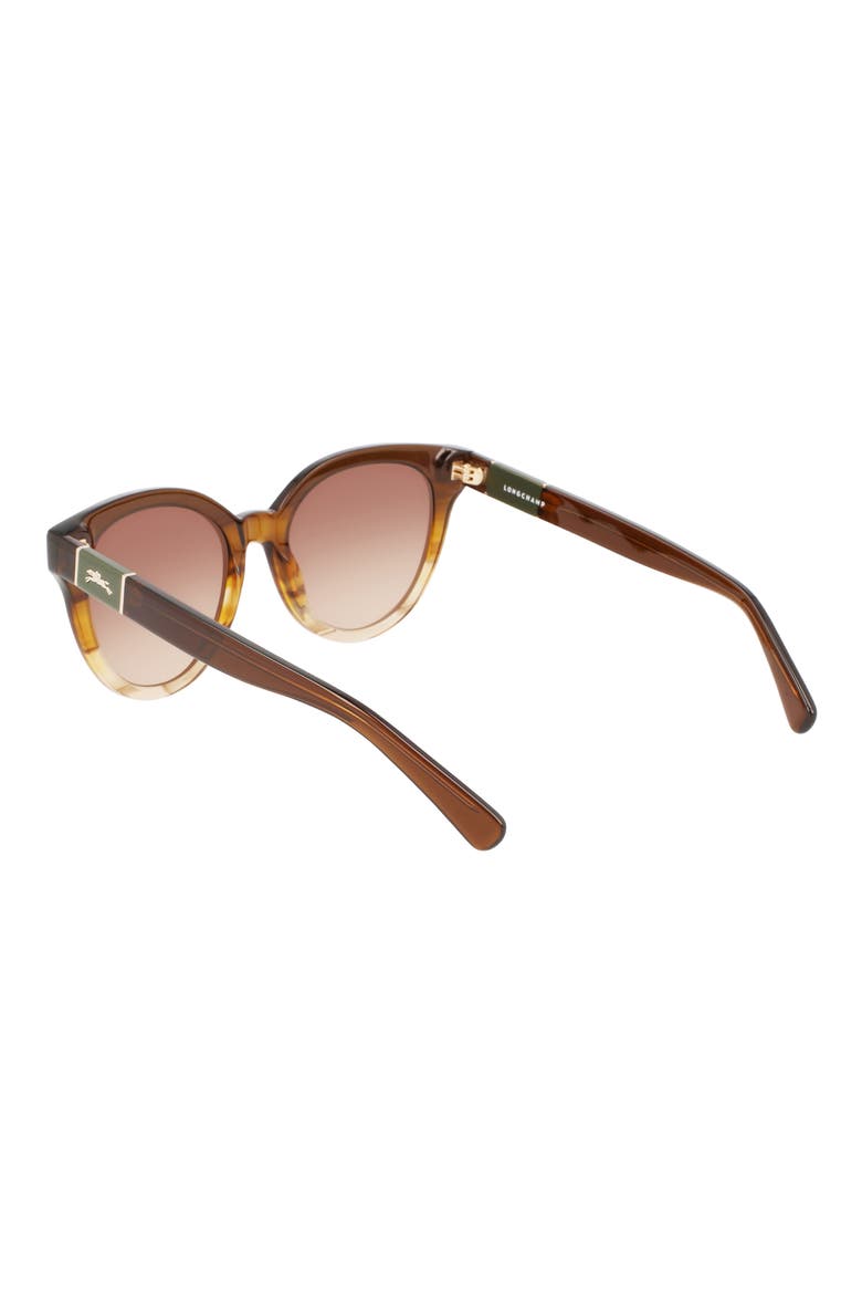 Le Pliage 53mm Oval Sunglasses, Alternate, color, STRIPED HONEY