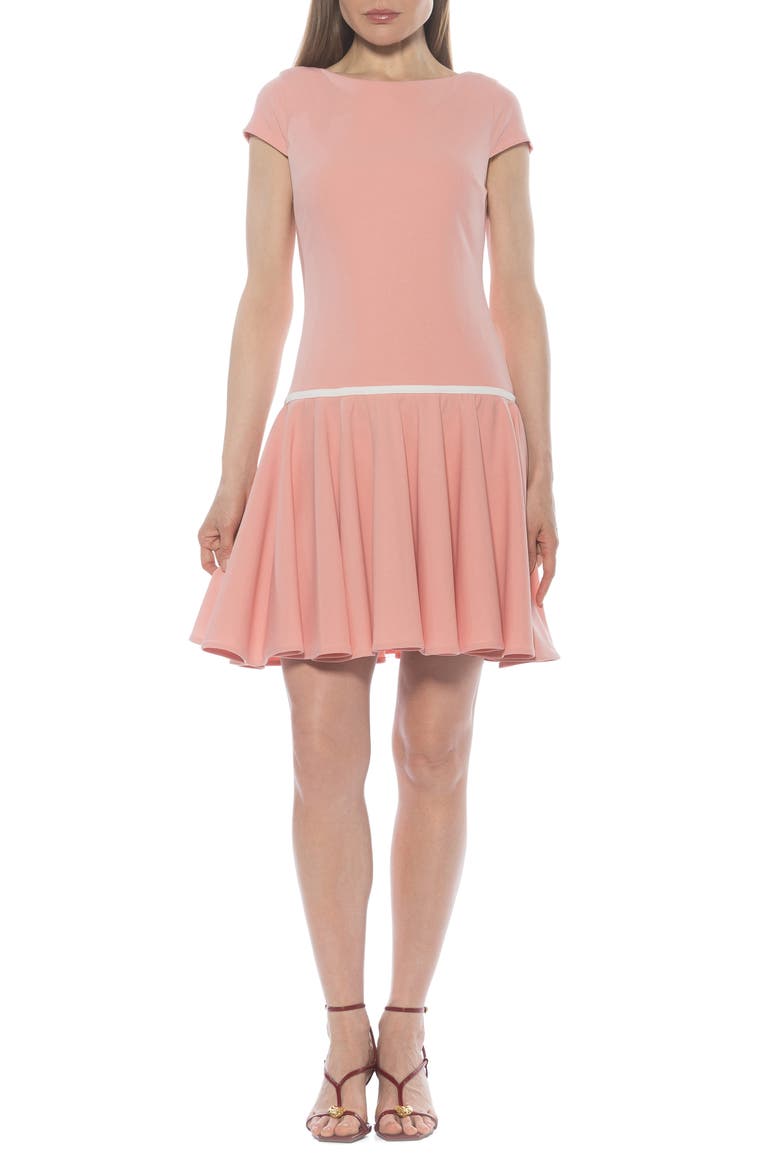 Drop Waist Dress, Main, color, BLUSH