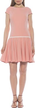 Alexia Admor Drop Waist Dress