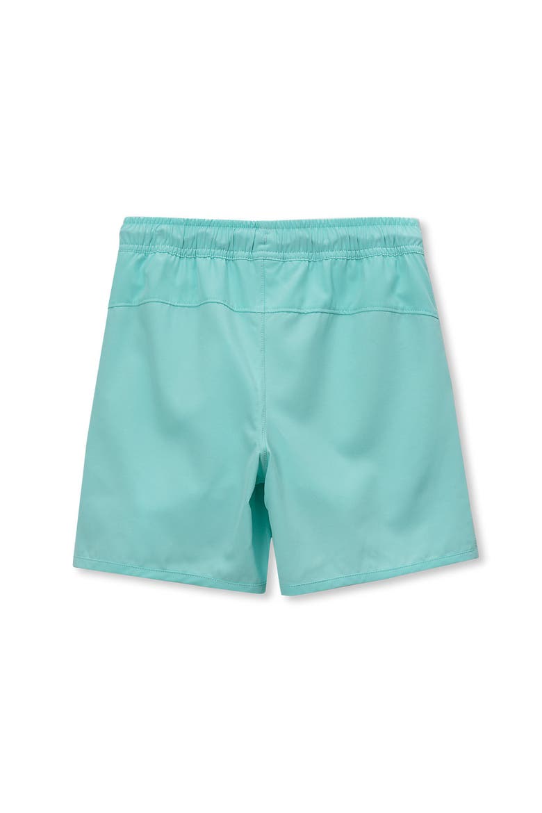 Boys Chlorine Resistant Magic Print Hydroliner Sport Swim Trunks, Alternate, color, Aruba Blue