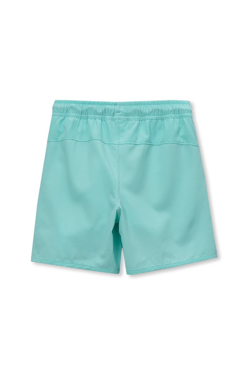 Lands' End Boys Chlorine Resistant Magic Print Hydroliner Sport Swim Trunks, Alternate, color, Aruba Blue