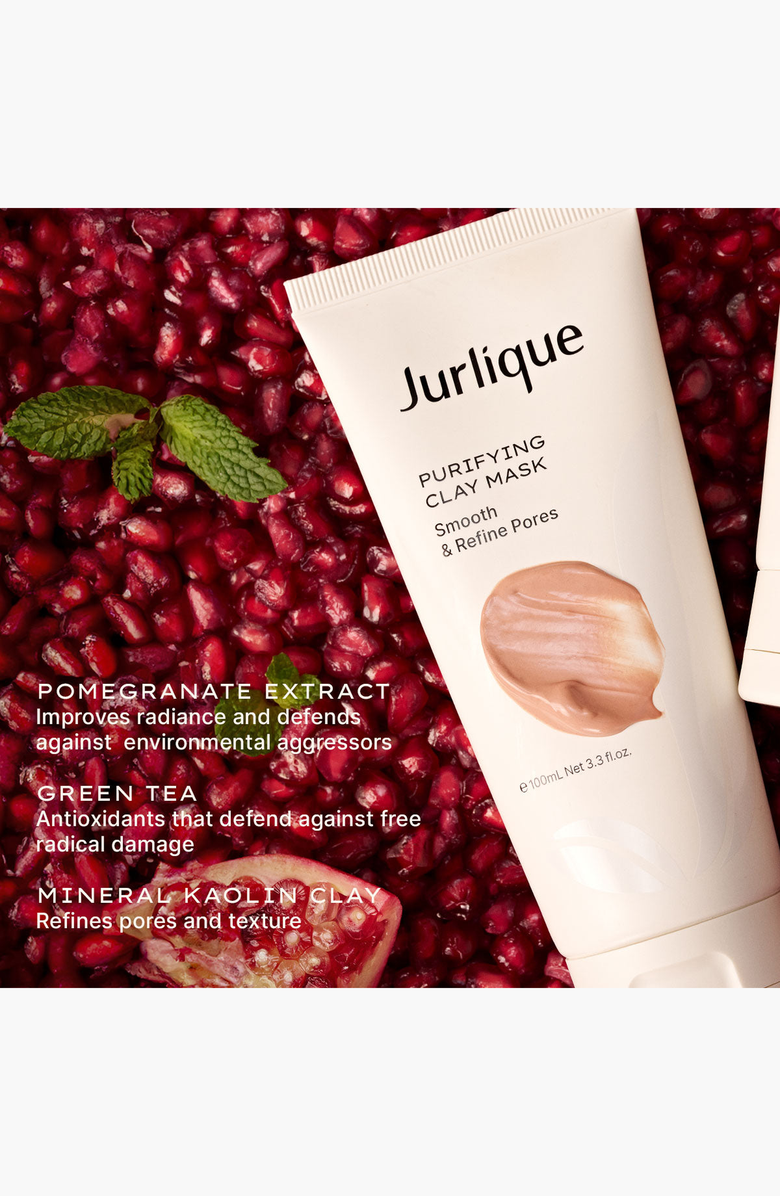 JURLIQUE Purifying Clay Mask, Alternate, color, NO COLOR