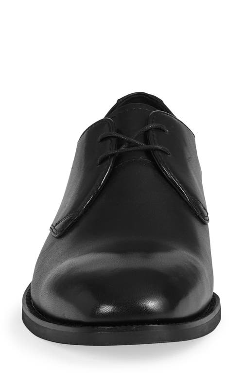 Vagabond Shoemakers Percy Derby