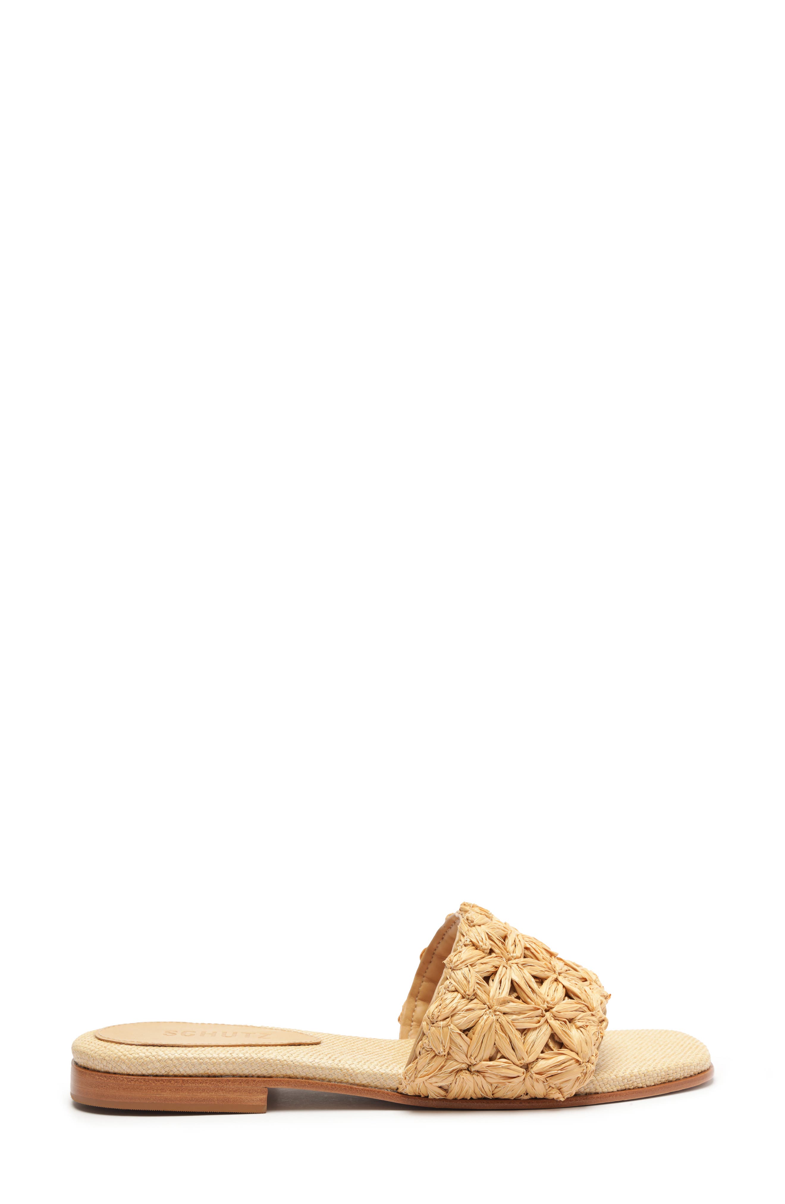 Schutz Ayla Slide Sandal, Alternate, color, 