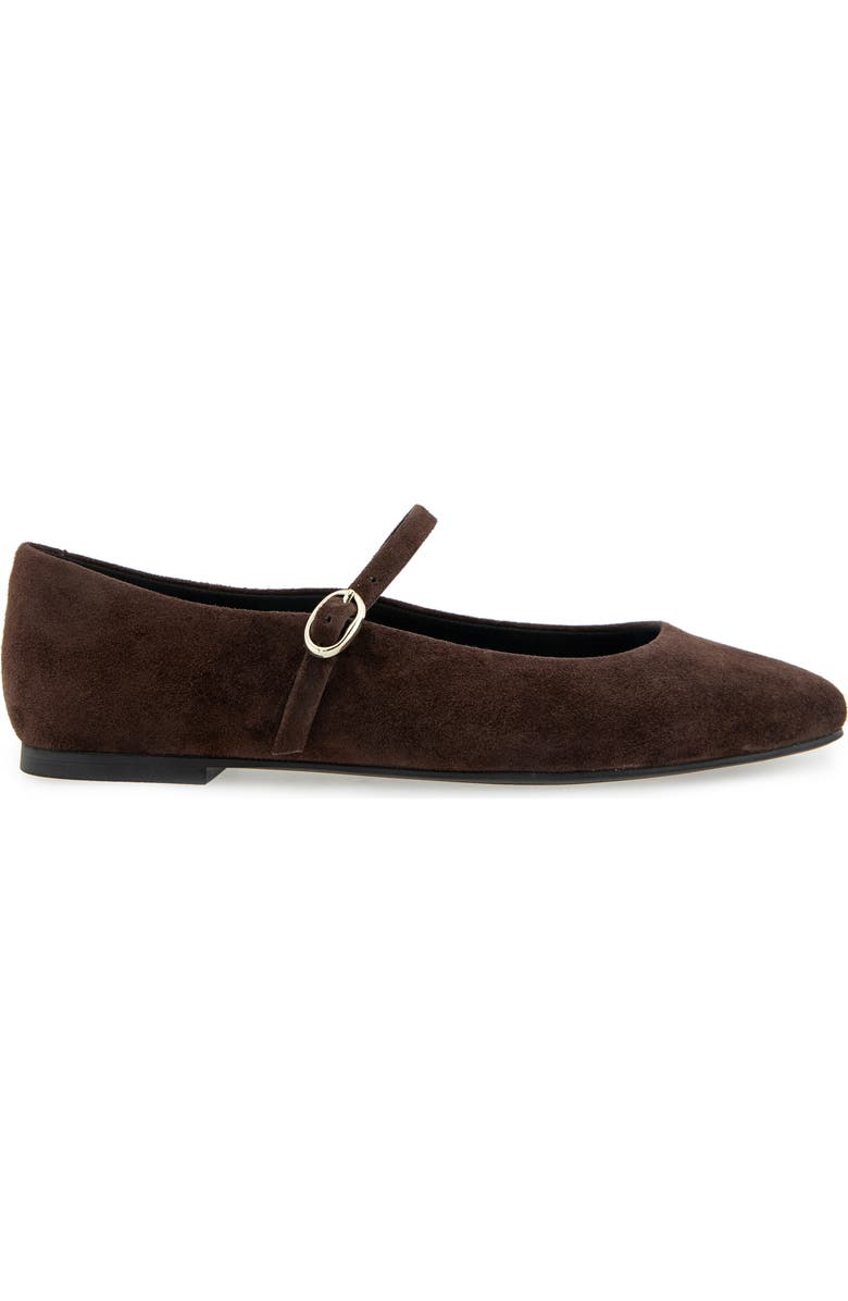 Kenneth Cole Jasper Mary Jane Flat, Alternate, color, Chocolate Suede