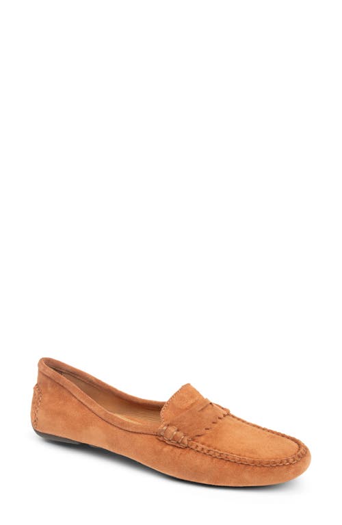 Patricia Green Janet Scalloped Driving Loafer In Brown