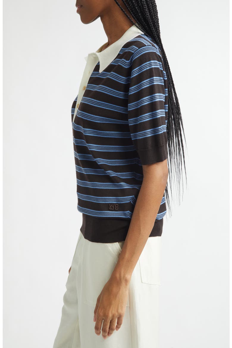 Breeze Stripe Polo Sweater, Alternate, color, DARK BROWN / BLUE / IVORY