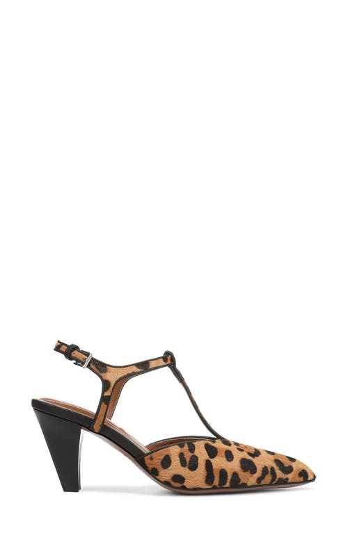 Franco Sarto Ovett Pointed Toe T-strap Pump In Animal Print