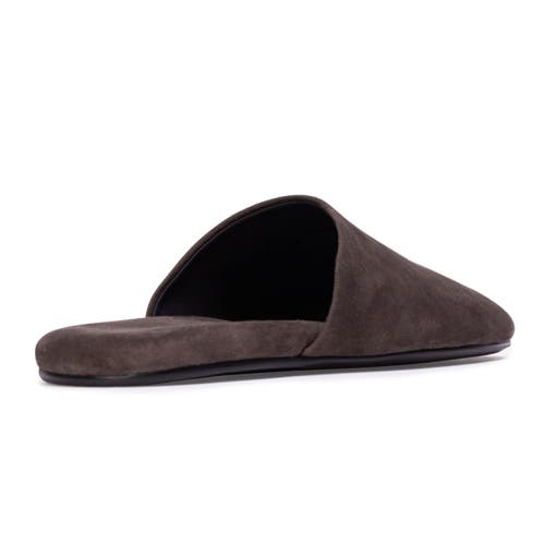 Black Suede Studio Shiloh Mule In Brown