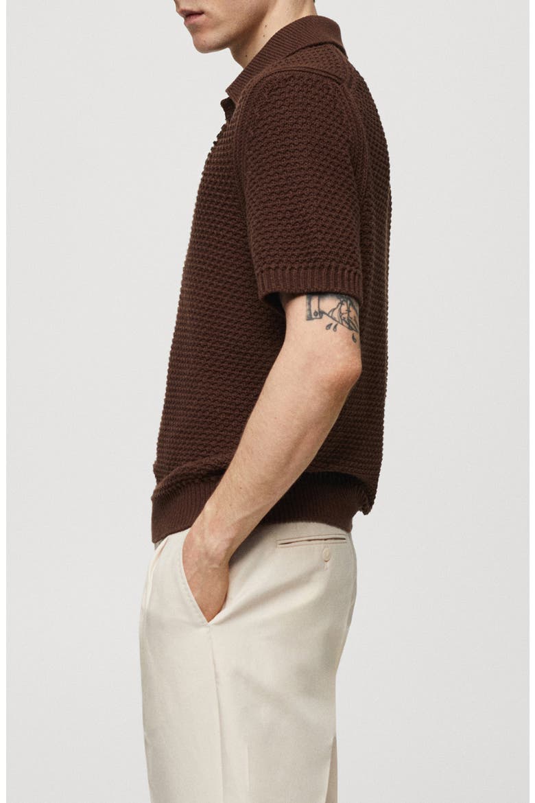 Braided Knit Polo, Alternate, color, TOBACCO BROWN