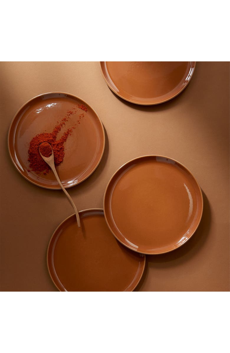 Gharyan Stoneware Edan Flat Salad/Dinner Plate, Set of 4, Alternate, color, Matte / Shiny Terracotta