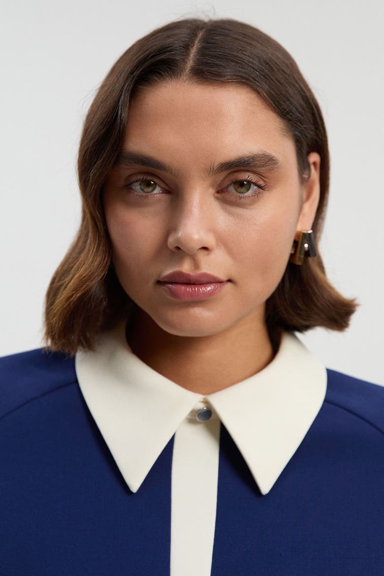 Contrast Collar Tailored Midi Dress, Alternate, color, Navy