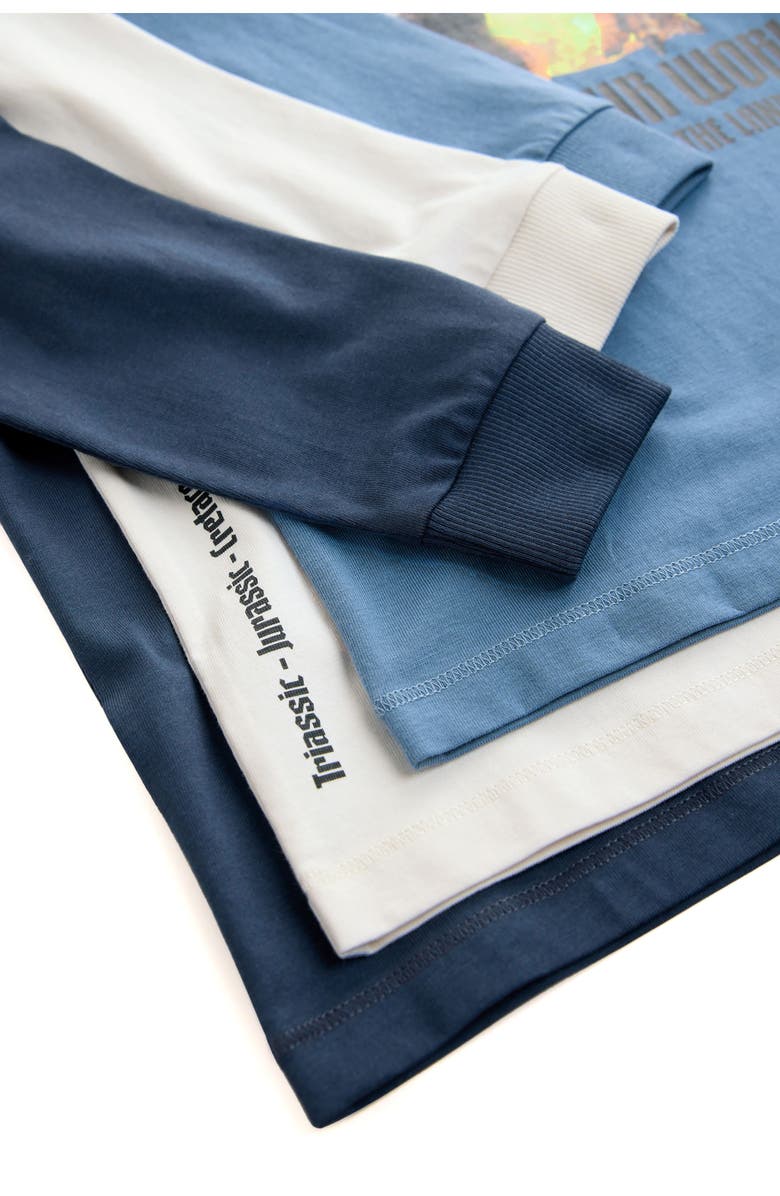 NEXT Kids' 3-Pack Assorted Long Sleeve Cotton Graphic T-Shirts, Alternate, color, Multi