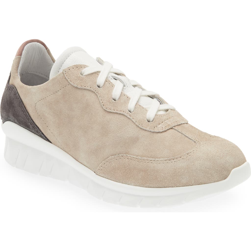 Naot Infinity Colorblock Sneaker In Sand Stone Suede