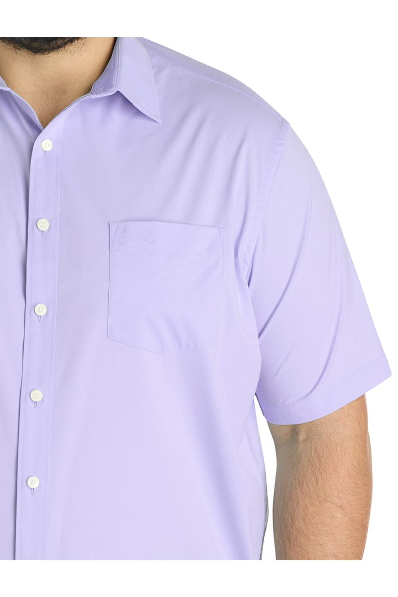 Big & Tall Gironde Sport Shirt, Alternate, color, LAVENDULA