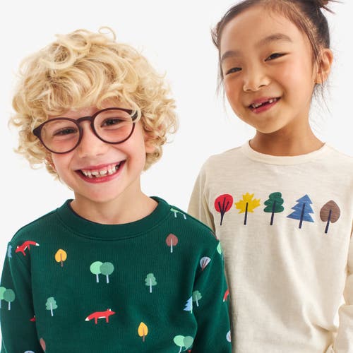 Primary Kids Long Sleeve Foliage Tee In Brown