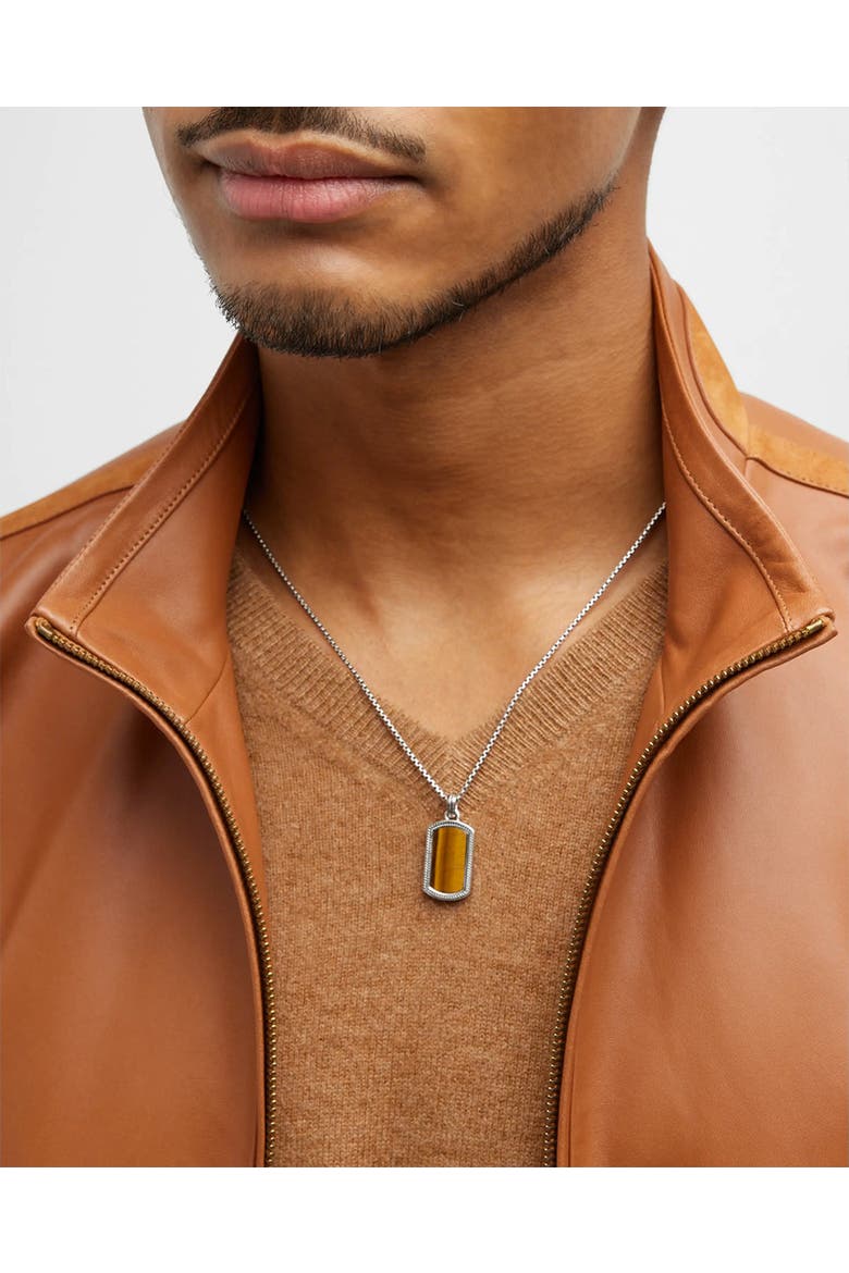 Sterling Silver & Gemstone Dog Tag Pendant Necklace, Alternate, color, BROWN