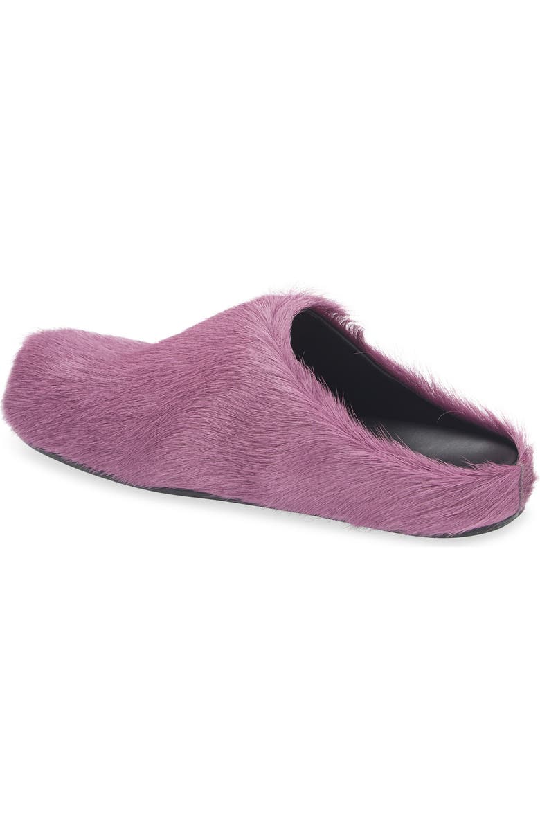 Marni Fussbett Sabot Genuine Calf Hair Clog, Alternate, color, Purple