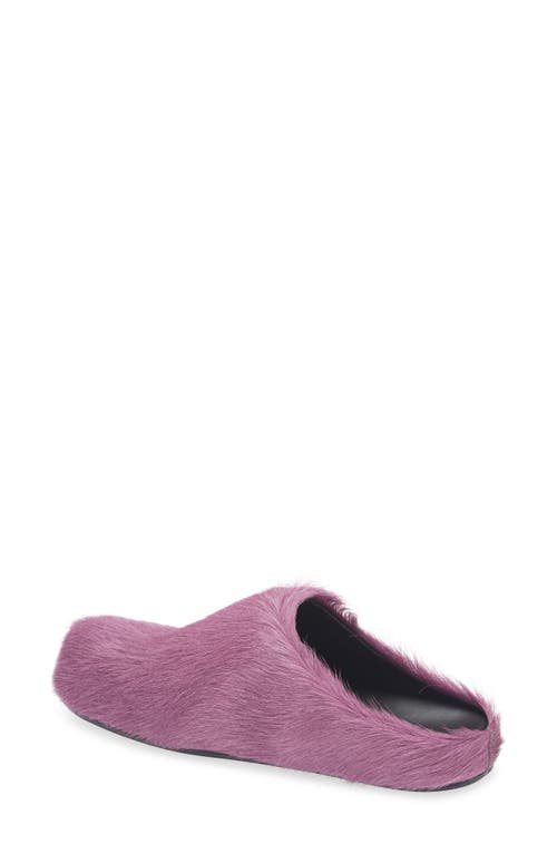 Marni Slip-on Mule Sandals In Textured Calf Hair In Purple