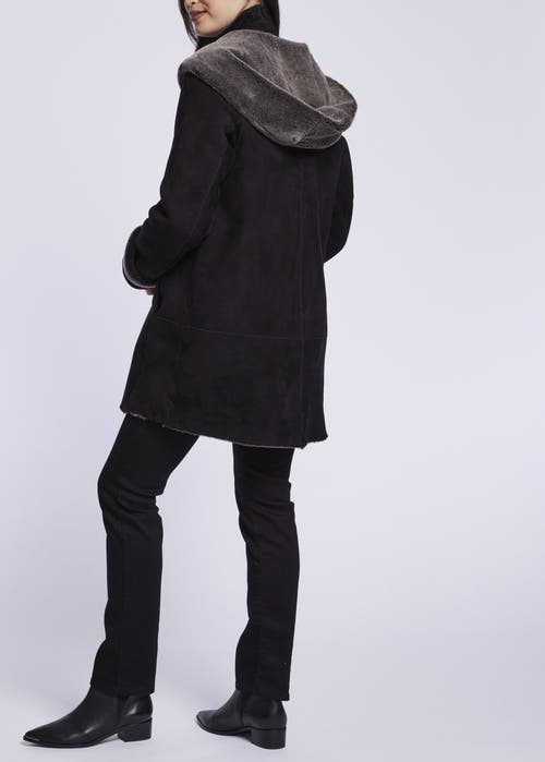 Blue Duck Spanish Merino Shearling Coat In Animal Print