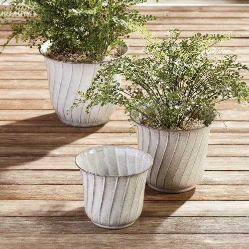 Napa Home & Garden Leilani Pots Set Of 3 In White
