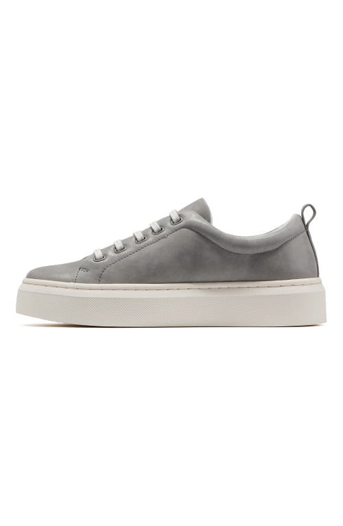 Abeo Jumpstreet Bungee Sneaker In Stone Leather - Regular