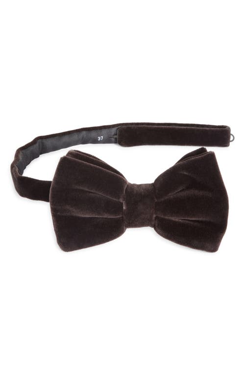 Hugo Boss Boss Cotton Bow Tie In Brown