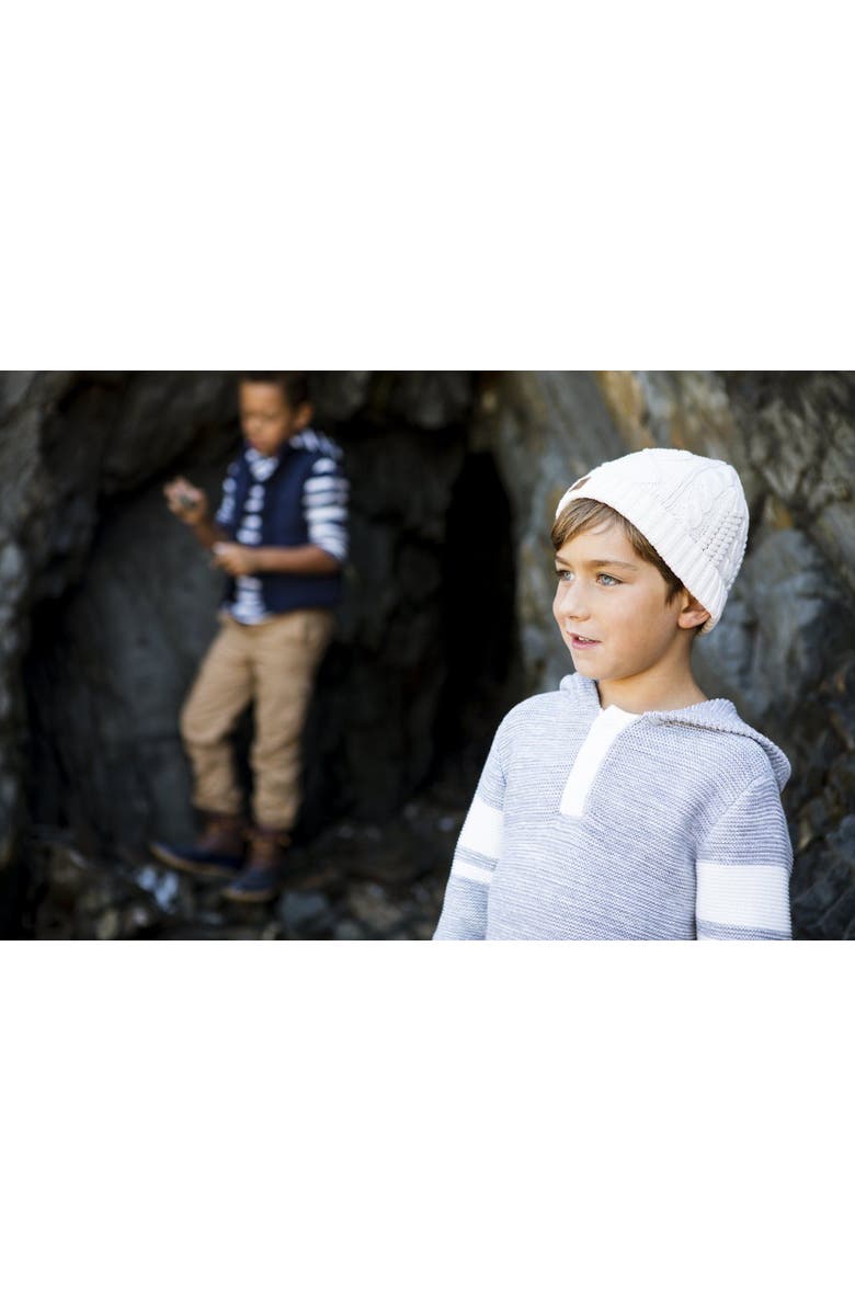 Hope & Henry Baby Boys' Hooded Pullover Sweater, Infant, Alternate, color,