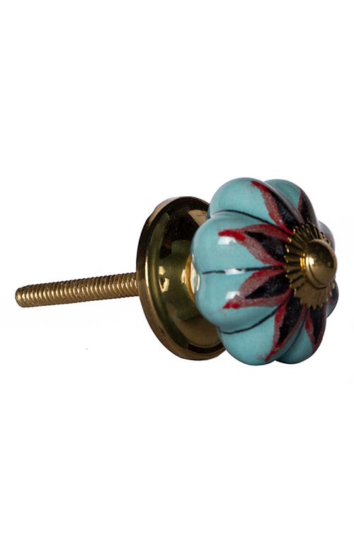 Shop Kinetic 12-pack Knobs In Orange Aqua