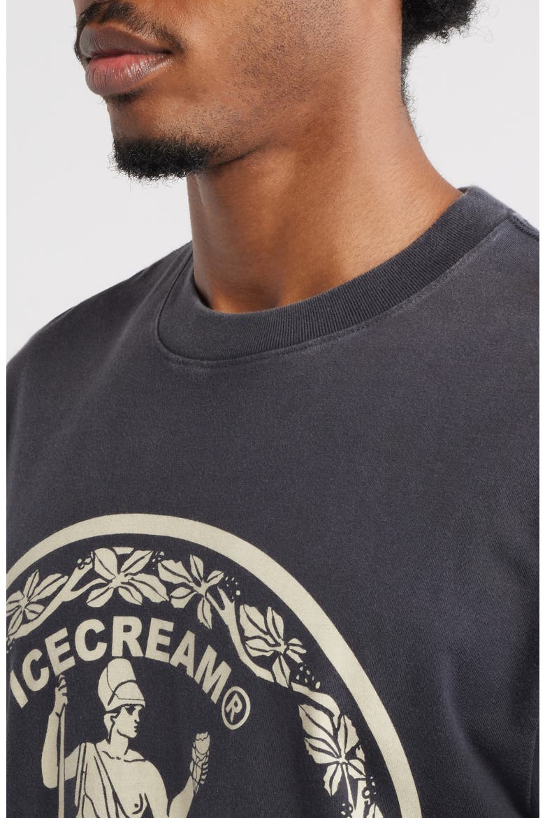 Oversize Seal Graphic T-Shirt, Alternate, color, CHARCOAL ART