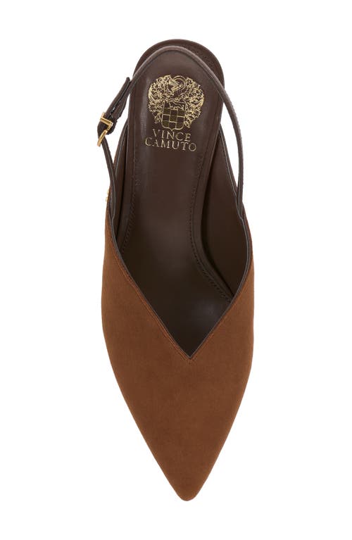 Vince Camuto Kylien Slingback Pointed Toe Pump In Brown
