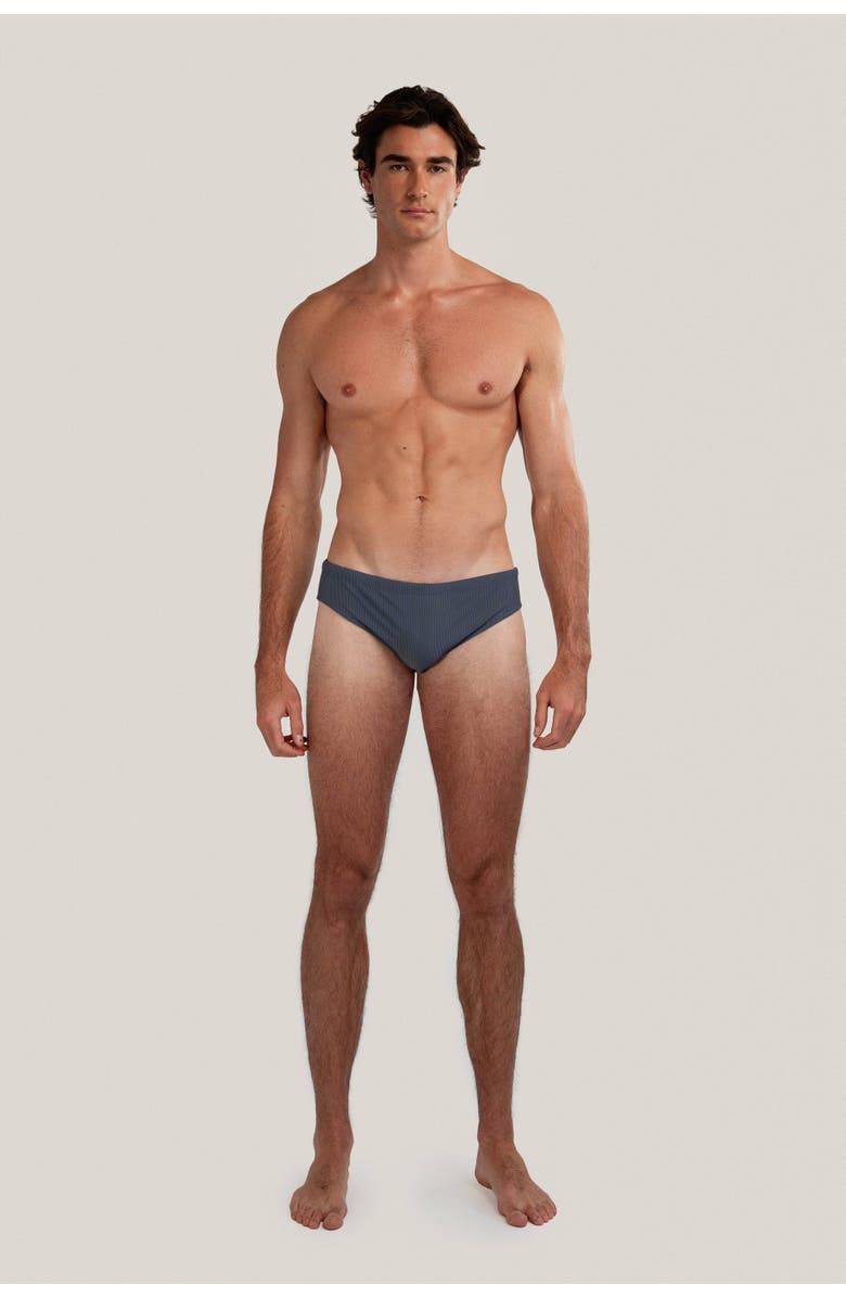 GoodPark Dune Modern Cut Ribbed Stretch Swim Brief, Alternate, color, Slate