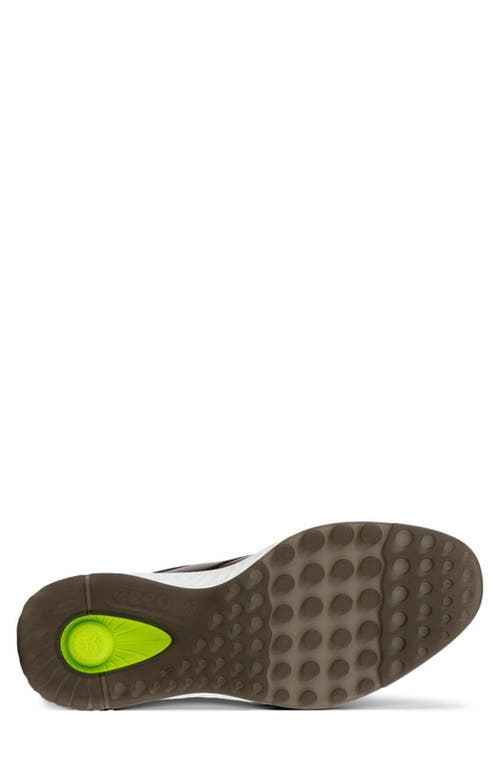 Ecco St.1 Hybrid Cap Toe Derby